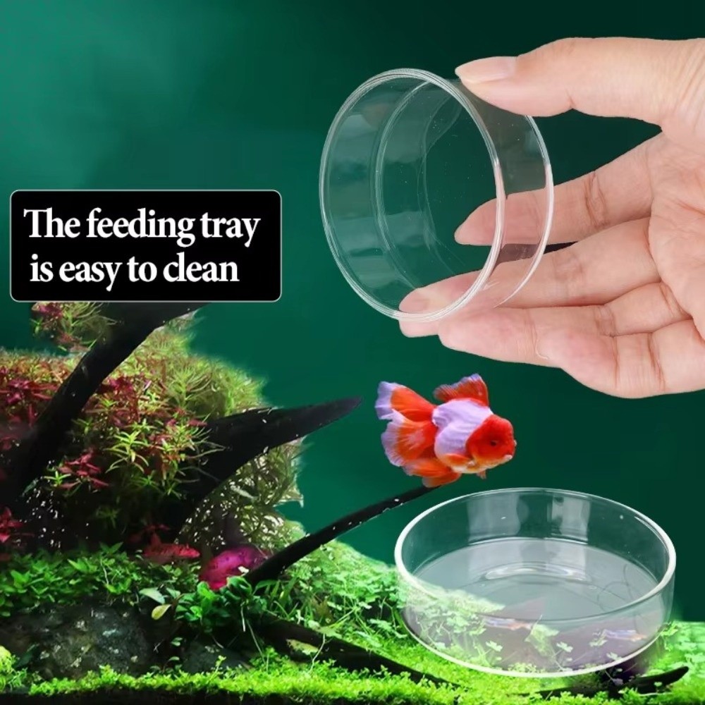 Ciotola per Alimentazione Pesc - Baby Food Shrimp recensione e prezzo