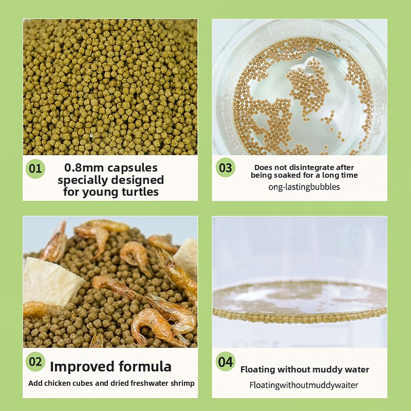 GEN CLIMB Baby Turtle Starter  - Baby Food Shrimp recensione e prezzo