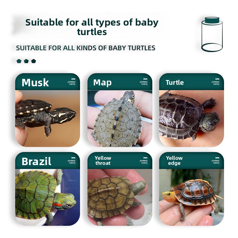 BESSN Cibo per tartarughe inte - Baby Food Shrimp recensione e prezzo