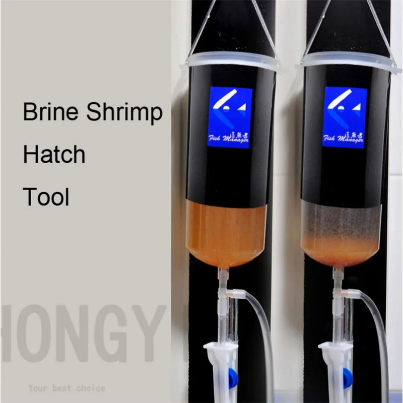 Fata gamberetti uovo artemia v - Baby Food Shrimp recensione e prezzo