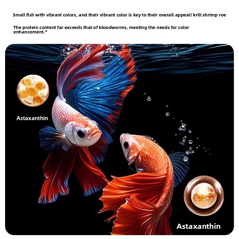 Yee Krill & Baby Shrimp Cibo s - Baby Food Shrimp recensione e prezzo